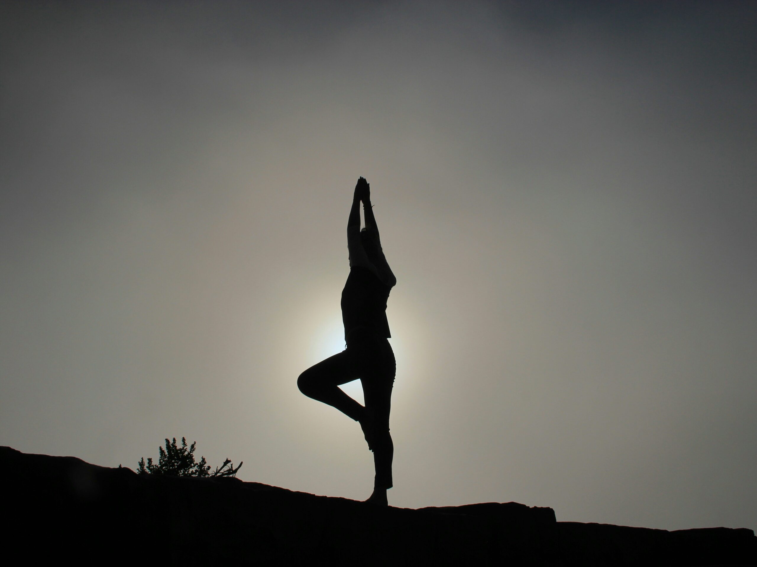 Fallstudie – hemsida för yogaskola
